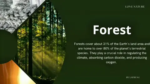 Love nature  #naturalphotography #natura #lovenature 