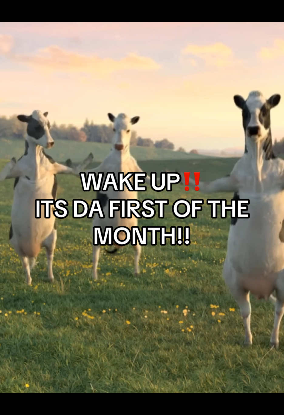 May!! #fyp #viral #relatable #meme #trending #foryoupage #wakeup #firstofthemonth #dance #cow 