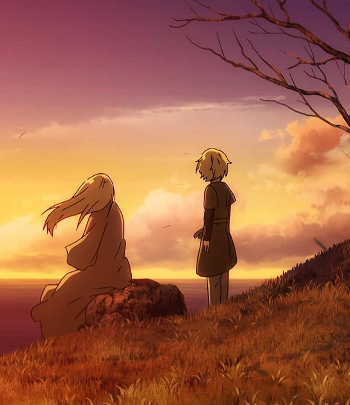 #thorfinn #vinlandsaga #viral #thorfinnedit #thorfinnkarlsefni #stoic #anime #askeladd 