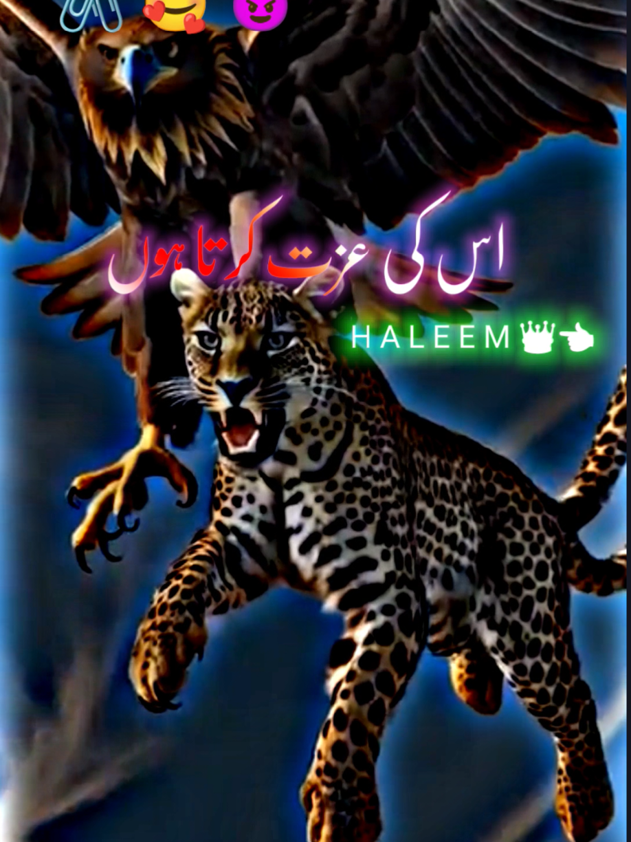 میں کسی کا مال اور دولت دیکھ کر😡😂🔥foryou# #trending #foryoupage #hassanbabriofficial #foryoupage #trendingtiktok #sajal_TikTok_id #sajal_offical #trendingvideo #unfreezmyaccount @sajal_offical #sajal_Malik_officia #whatsappstatus #sajal_offical #sajalmalik #sajalmalikofficial #sajalmalik #status #statusvideo #whatsappstatus #funny_story #1millionaudition #trendingvideo #trendingtiktok #trending #foryou #foryou #foryoupage