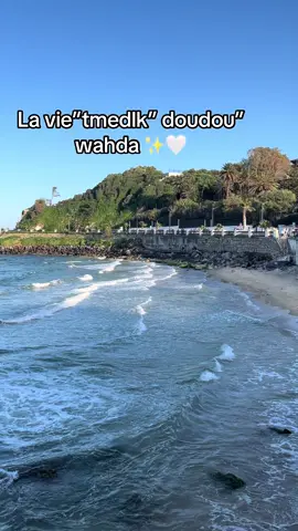 #foryoupage #fr #fyp #fyp #trendingvideo #annaba #عنابة #pourtoi #شعب_الصيني_ماله_حل😂😂 