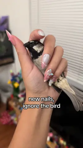 #bird 
