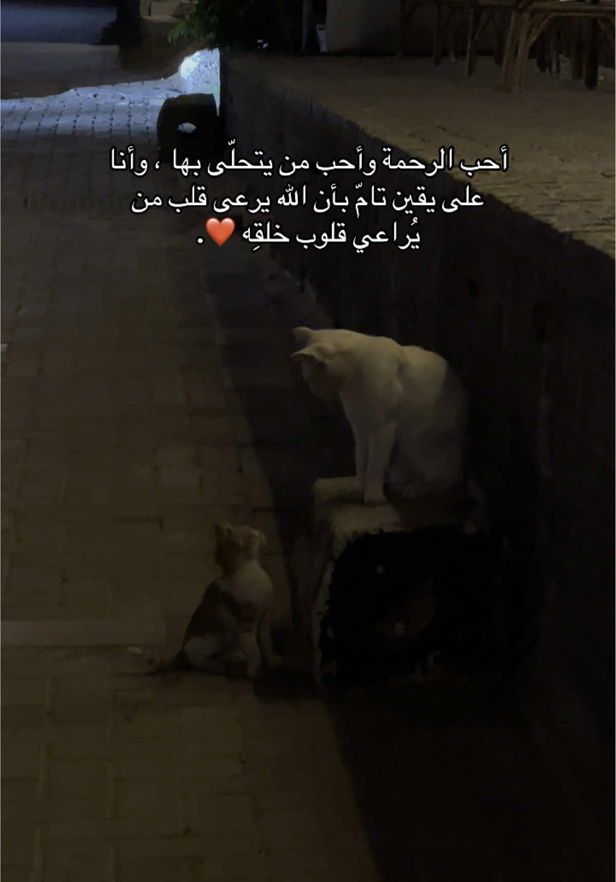 ❤️. - #fyp #foryou #بدون_موسيقى 