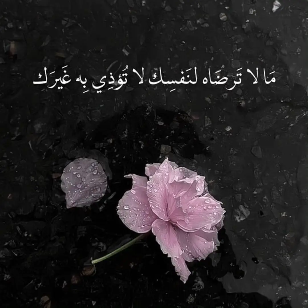#CapCut #اكسبلورexplore #اكسبلورexplore❥🕊 #اكسبلور #fypシ゚viral 