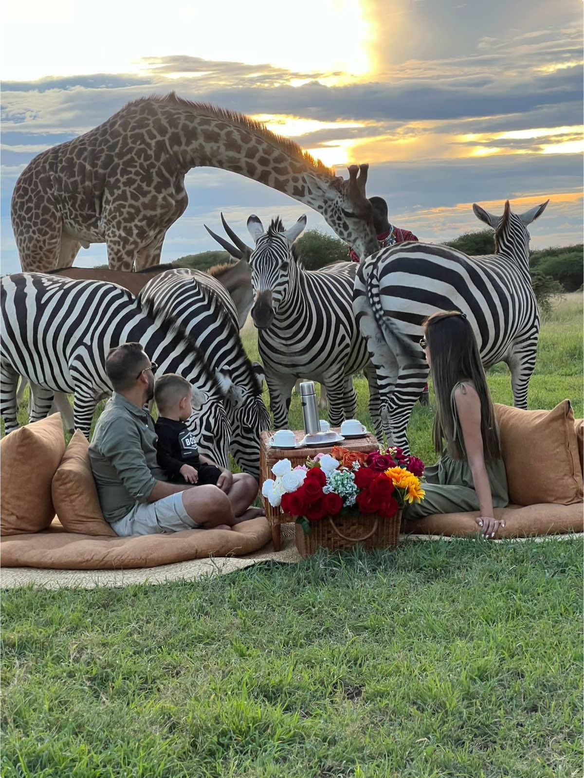 #سفر #فخامة #سياحة #منتجعات #ترفيه #تنزانيا #سفاري #افريقيا #زنجبار #حيوانات #شرق إفريقيا المختصون في رحلات السفاري في شرق أفريقيا 🥇🐘🦌🐆🦒