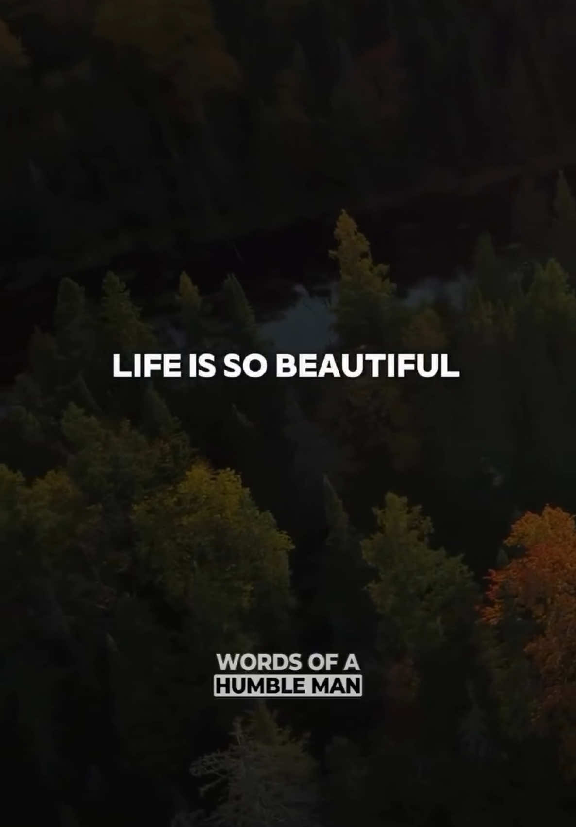 Life.... ➖ #wordsofahumbleman #humble #humility #life #beautiful #moments