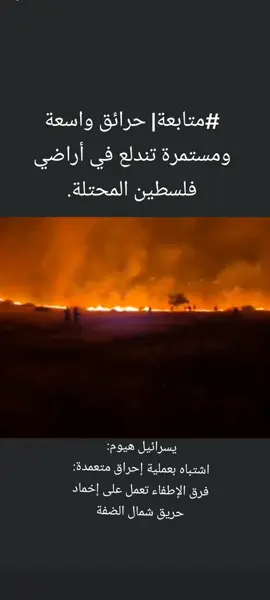 #يلا #فلسطين #متابعة #غزة 