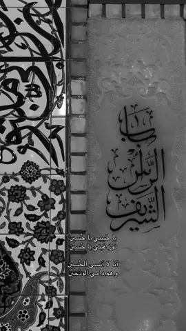 ياحبيبي يا حُسين#explorer #shia #fyp #313 