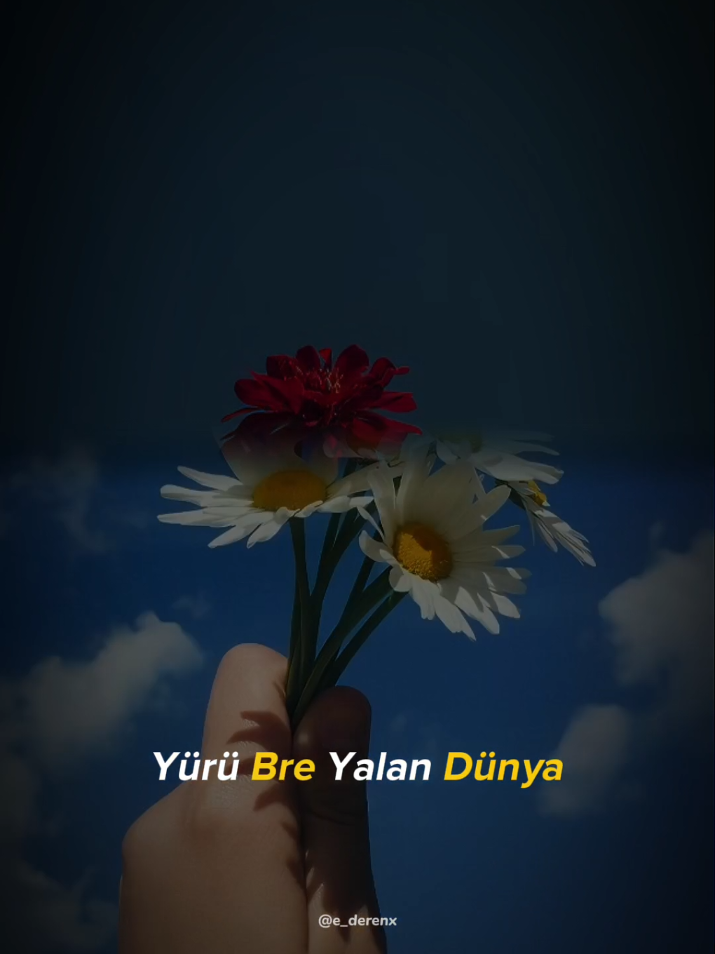 #CapCut #akım #keşfet #yenişablon #e_derenx 