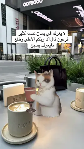 #Meme #MemeCut #fyp 
