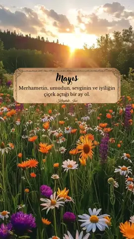 İyiliğin çiçek açtığı bir Mayıs ol. #iyilik #bahar #mayıs