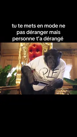 singe v3  #trend #pashumour #pourtoi