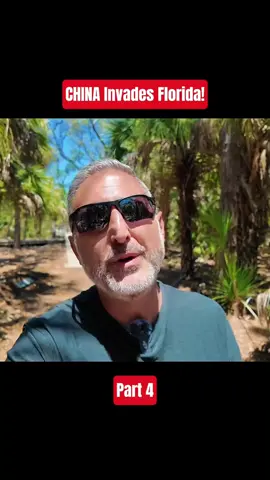 CHINA Invades Florida! Part 4 #realestate #bubble #china #florida #tampa #viral 