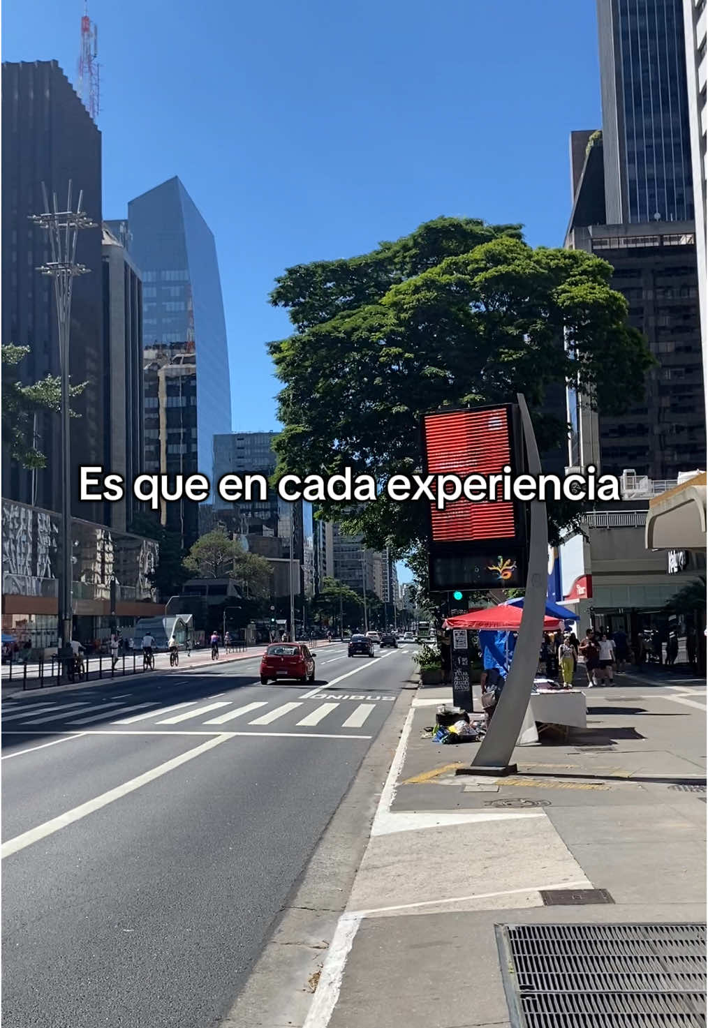Ya llevaba dos meses en borradores 😁  #brasil🇧🇷 #viajes #paratii  #samba #saopaulo #carnaval #carnavaltiktok 