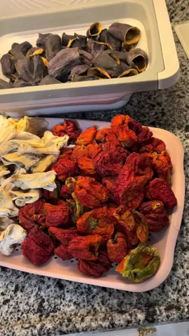 #dolma  #🌸