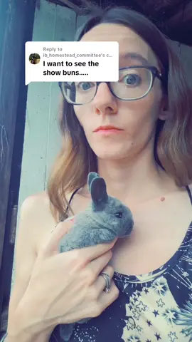 Replying to @ib_homestead_committee  we've got a lot of Jr's! #showrabbit #rabbitsoftiktok #rabbits #bunny 