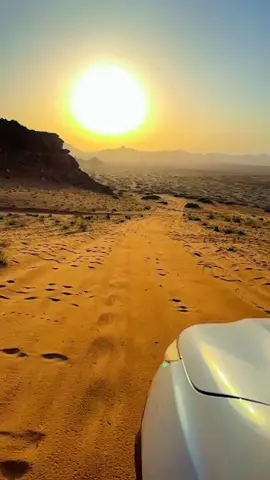 #طلال_سلامه 