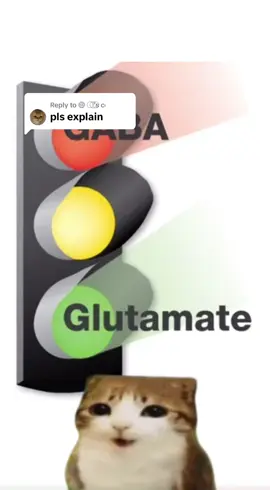 Replying to @@️⃝ᅠ  ️⃝ᅠ  ️⃝ᅠ  ️⃝ᅠ Todays lesson is on glutamate and gaba neurotransmitters. #science #stem #psychology #neuroscience #chemistry #biology #university #college 