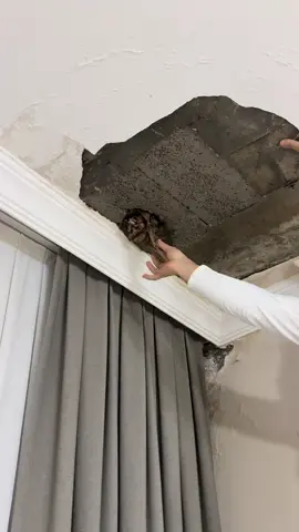 Herkese selam 👋🏻  bundan altı ay kadar önce evimizin tavanından bir çimento torbası çıktı ve o günden sonra bütün düzenimiz alt üst oldu. Evi ne kadar temizlersem temizleyim bu odanın böyle olduğunu bilmek beni içten içe inanılmaz rahatsız ve depresif yapıyor. Umarım bir an önce bu durumdan kurtuluruz. 😔  Marka göründe ise reklam