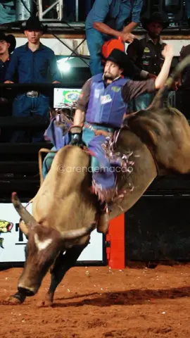 Moda no peito. 🔥 #rodeio #rodeiopaixao #tourobravo #touro 