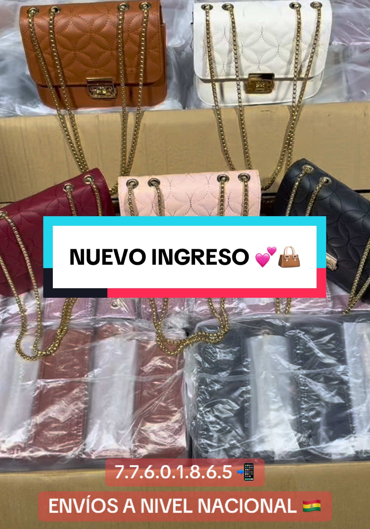 Envíos a todo Bolivia Pedidos al 77601865 🇧🇴 #CapCut #emprendedores #mayoristas #emprendedoras #elalto #cobija #trinidad #cochabamba #yacuiba #sucre #bermejo #tarijabolivia #lapaz_bolivia🇧🇴 #potosi_bolivia #carterapormayor #santacruz #carteras #bolsos #moda #accesorios #mujer #morrales #carterasybolsos #estilo #tiendaonline #tendencia #regalos #ventas #modamujer 