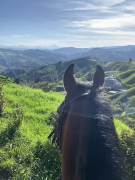 Los placeres de la vida🐴🍃#caballosypaisajes #fyppppppppppppppppppppppp #launionantioquia #videoviral #pesebreraaltaclara #paratiiiiiiiiiiiiii #caballoscriolloscolombianos #cabalgata 