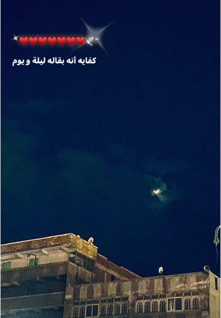 علي طول ف خيالي💗🫂#🥹💘🦋 #عمرو_دياب #الهضبه #fyppppppppppppppppppppppp #💗 #اغاني_حب #amrdiab #حب #تصميم_فيديوهات🎶🎤🎬 