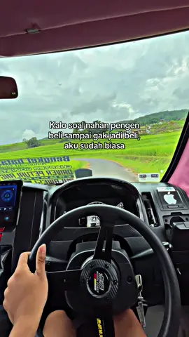 Aku sudah biasa😓 #fyp #masukberandafyp #trend #bengkelbatas #dpc #drivermuda #granmax #drivertiktok #granmaxpickup 