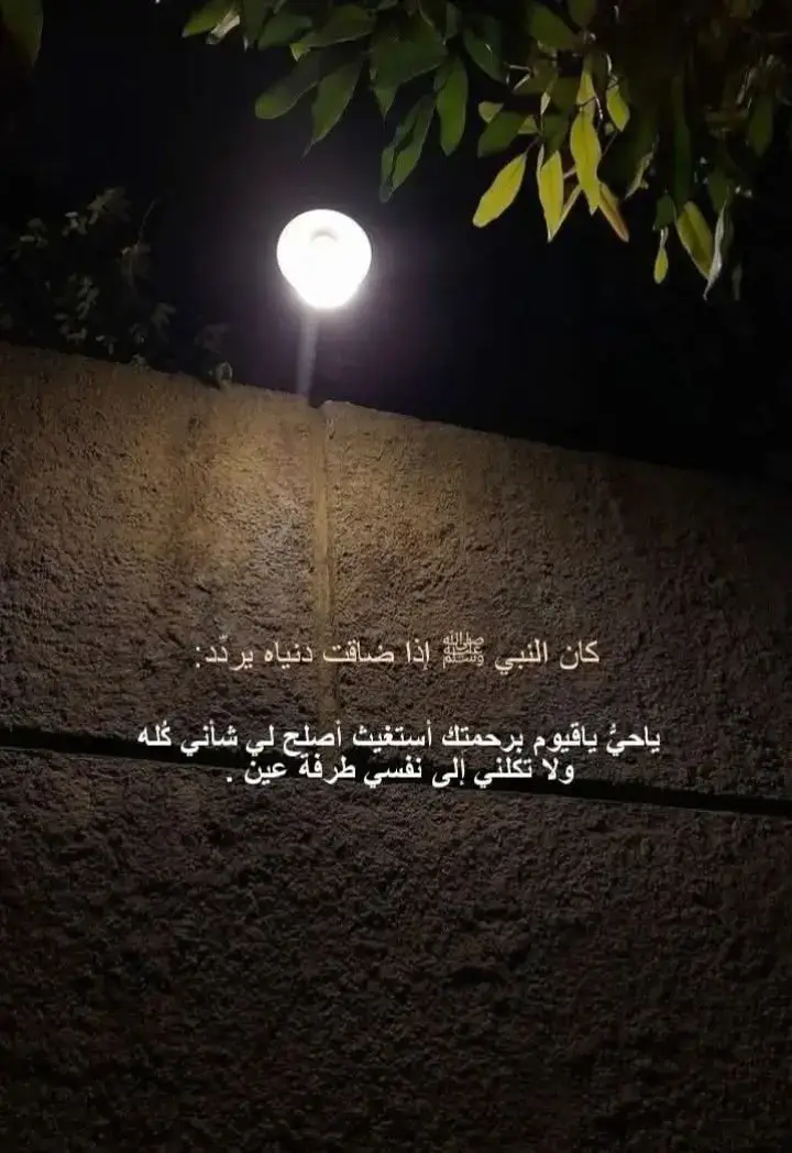 #quran_alkarim  #quran #قران_كريم_ارح_سمعك_وقلبك #قران_كريم  #قران_كريم  #explore 