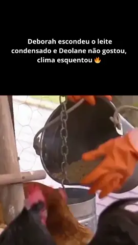 #deolanebezerra #deborahalbuquerque #afazenda14 #afazenda #afazenda16 #afazenda15