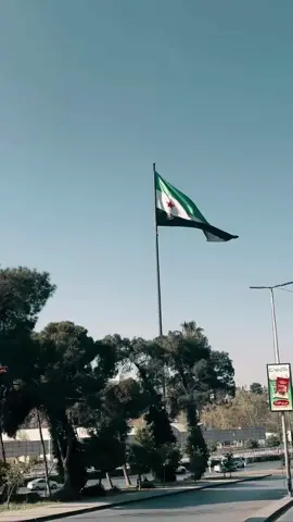 🇸🇾❤️‍🩹#fyp #damascus 