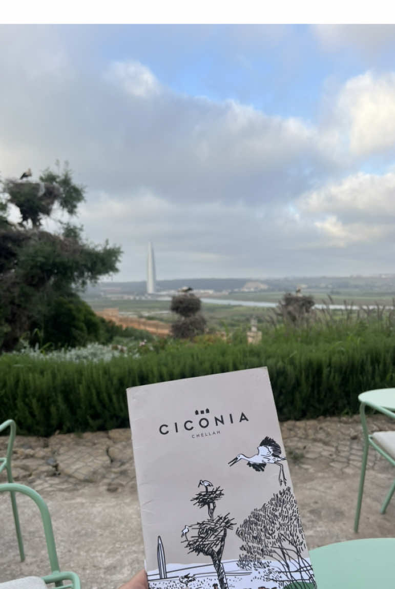 🦚🪴Ciconia, Rabat.      #fyp#foryoupage#explore#morocco#relaxing#rabat#fypシ゚viral🖤tiktok#views#maroc#المغرب🇲🇦تونس🇹🇳الجزائر🇩🇿#pourtoi
