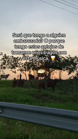 #malditasuerte #luisalbertoposada #musicapopular #musicaagropecuaria 