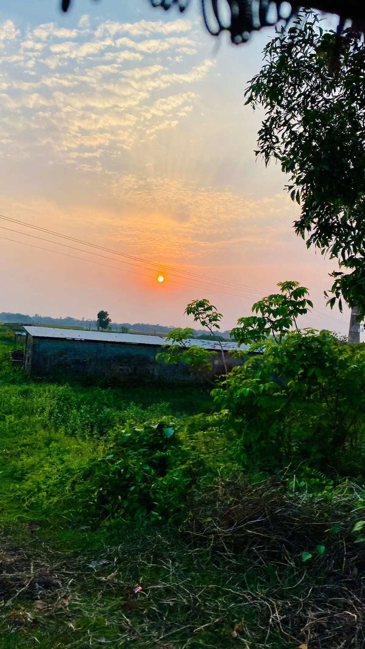 #Bangladesh #foryou #fypシ゚ #bangladesh🇧🇩