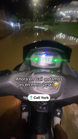 🤣