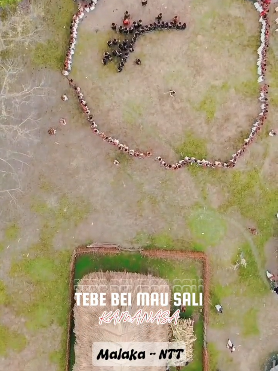 TEBE BEI MAU SALI #malaka #nttpride🏝🔥 #adatmalaka #tebebeimausali #fyp #lewatberanda #indonesia 