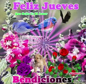 Feliz jueves 🌹🥰🙏🏻 #felizdia  #felizjueves #buenosdias  #greymerrr #estadosparawhatsapp 