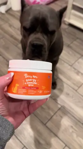 Itchy dog? Not anymore. Zesty Paws Allergy Bites help soothe seasonal allergies, support immune health, and calm skin irritation—so your pup can live their best, scratch-free life. Vet-approved, tail-wagging guaranteed. #ZestyPaws #AllergyReliefForDogs #DogTok #PetCareHack #TikTokMadeMeBuyIt #HealthyPup #ItchyDogRelief #DogAllergies #FurBabyFix #PupWellness