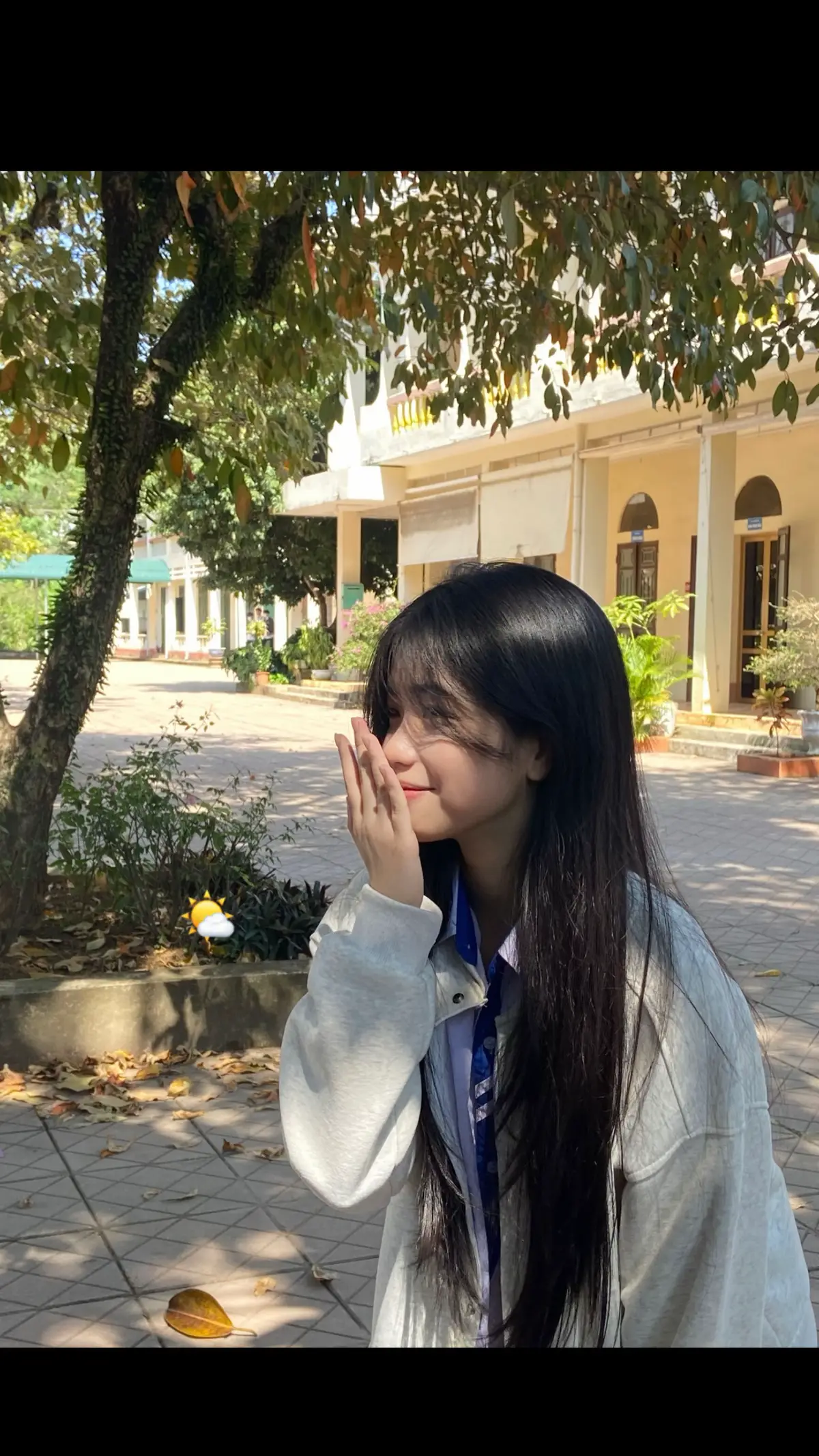 a mang ánh nắng về bên e