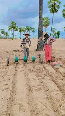 လယ်ကွင်းယာခင်ထည်းမှာလွမ်းမောစရာ🥰🥰😉😛