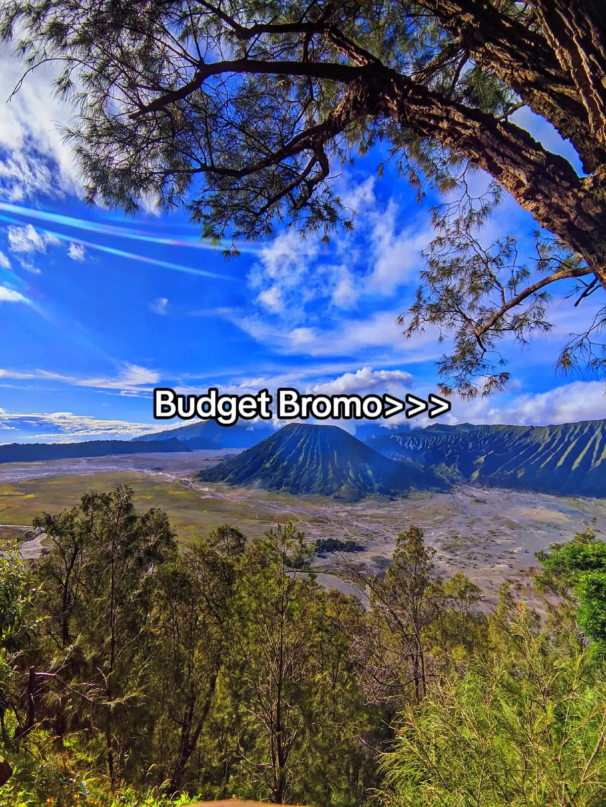 #touring #bromo #bromotenggersemeru #wisatajatim #wisatapasuruan #tamannasionalbromotenggersemeru #fyp #fypage #bismillahfyp #foryoupage 