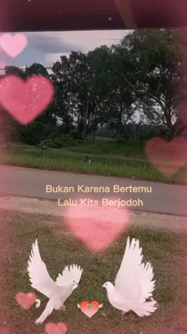 #bismillah #tktdw #viiiiiiirrrrrrraaaaalllllll #EkspresikanDenganCapCut #ypypypypypypypyp 