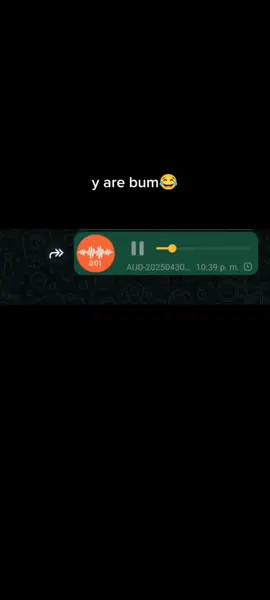 audios Randon de WhatsApp 😂