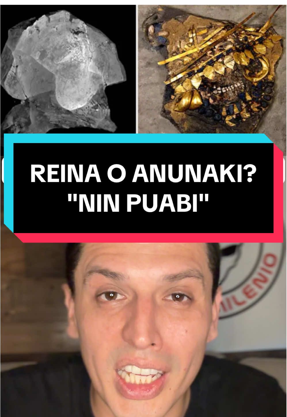 LA EXTRAÑA HISTORIA DE NIN PUABI, LA REINA ANUNAKI #nuevomilenio 