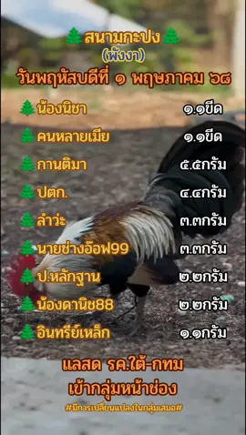 สนามกะปง 1/5/68 #สนามกะปง #ค่ายไก่น้องนิชา #กานติมา #ปตกเกาะสมุย #ค่ายไก่ลำว่ะ #ไก่เดือยภาคใต้ #ไก่ใต้ไก่เดือย🐓💯 #เพชรบางปี #คนหลายเมีย #น้องดานิช88 #อนุรักษ์ไก่ใต้🐓 