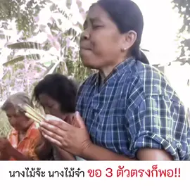 2 พ.ค. 68 ขอ 3 ตัวตรงๆ #แท็กเพื่อน #แท็กเพื่อนมาดู #ตำนานใหม่ #สร้างตำนาน #เธรด #สร้างมีม #มีมใหม่ #มีมขำๆ #คลิปฮาๆ #คลิปขำๆ #มีมตลก #คลิปตลก #แท็กเพื่อนมาแชร์ #ส่งให้เพื่อน #ส่งความสุขให้เพื่อน #ขึ้นฟีด #ขำหนักมาก #นึกถึงใครแท็กเลย #เทรนด์วันนี้ #funny #viral #trending