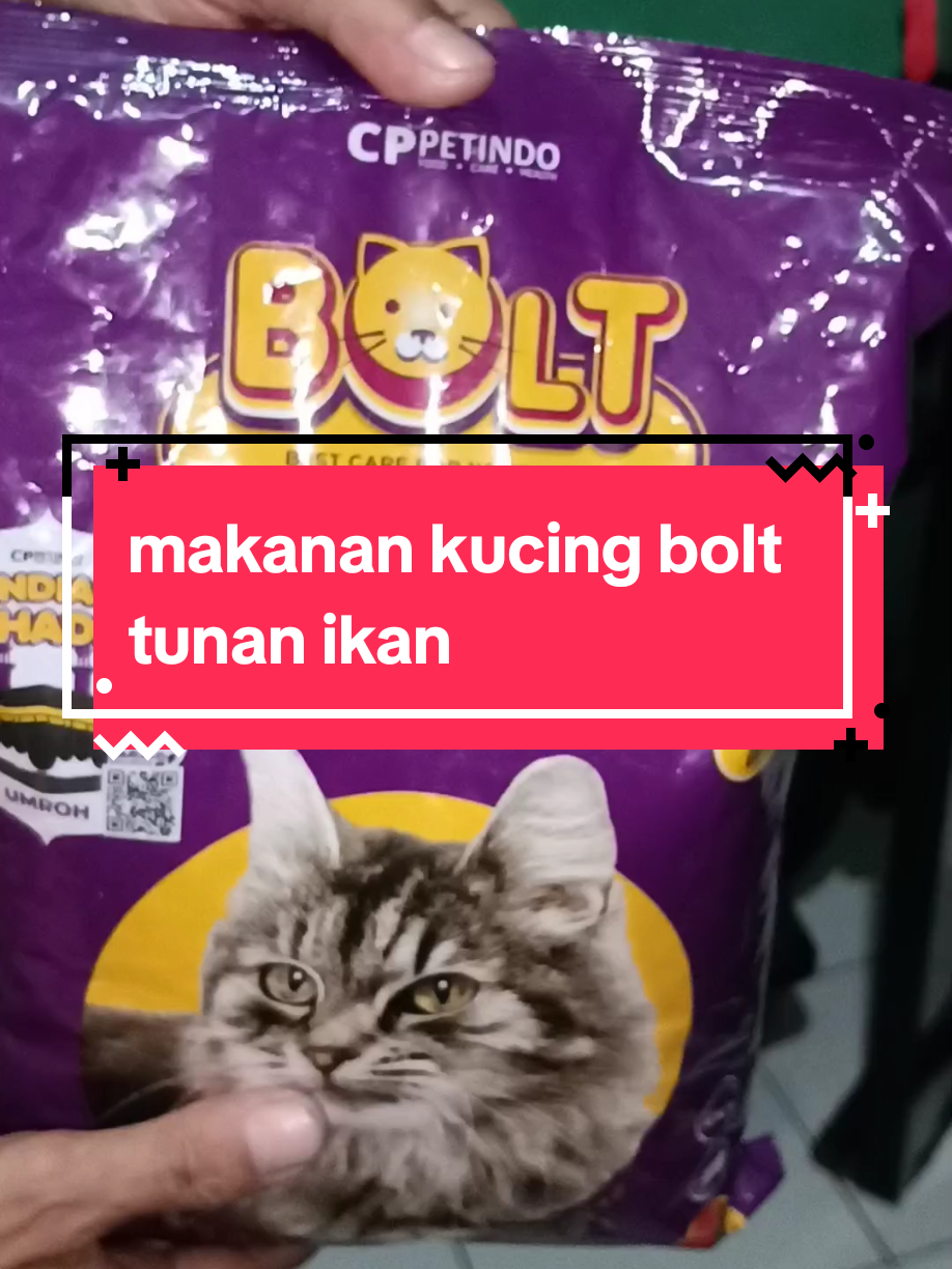 makanan kucing bolt rasa tuna ikan #makanankucing #makanankucingmurah #makanankucingpremium #makanankucingbolt #makanan kucing brand icat 