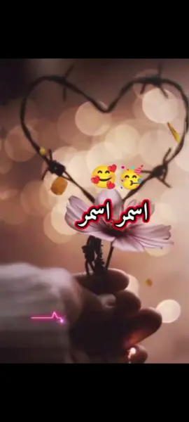 #اسمر_اسمر_يااسمر_ويلي_منك🙈♥️ #تنزيل_مفتوح💛 #ابو_عبود_المصمم🤍 