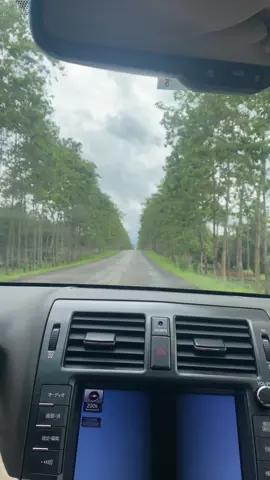 ​​❤️တေပဵၼ်လၢဝ်ပိူင်းပၼ်မိူဝ်ႈမႂ်းလပ်းသိင်ႇ⭐🌟🫶#当阳 #သၢဝ်တႆး🇱🇹 #00000000000001k #fypシ゚ 