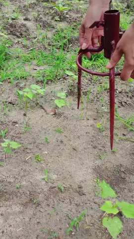 Chiếc ô che nắng được cố định xuống đất để hỗ trợ cho ngành nông nghiệp #fyb #sangtaonongnghiep #Dụngcụlàmnông